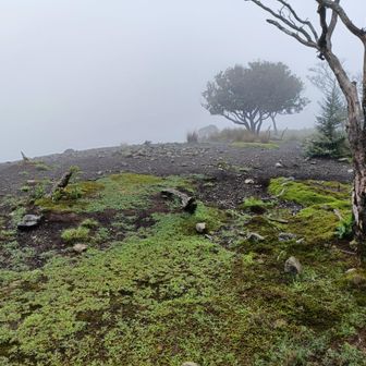 山頂