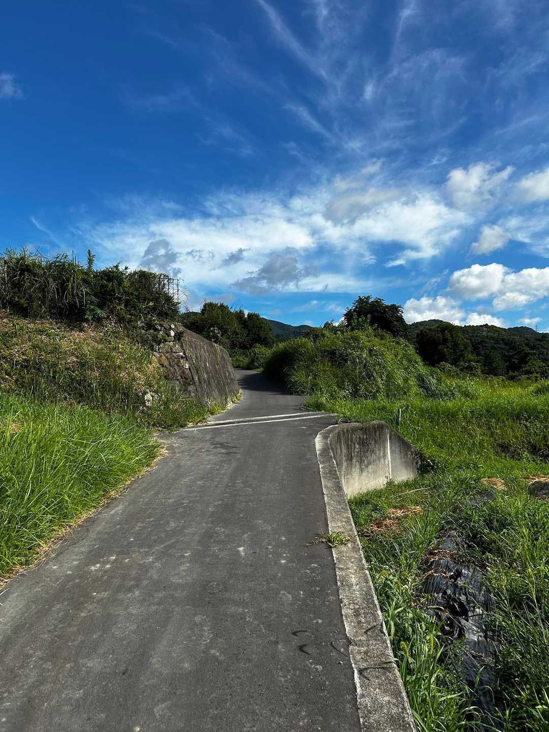 車に日傘とメガネを忘れました💦
日傘なしで歩くこの道、辛かった…