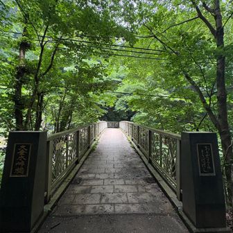 高尾方面へ