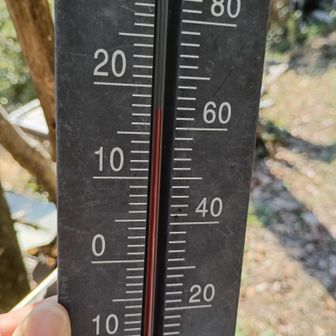 17℃あるん？今日はめちゃ暑いと思った