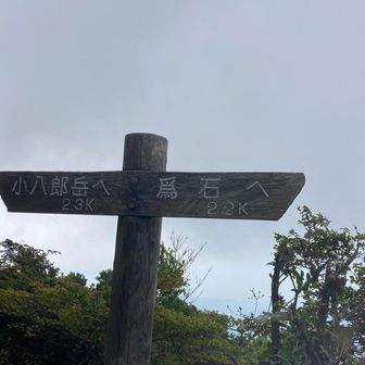 佐藤岳と思ってたw