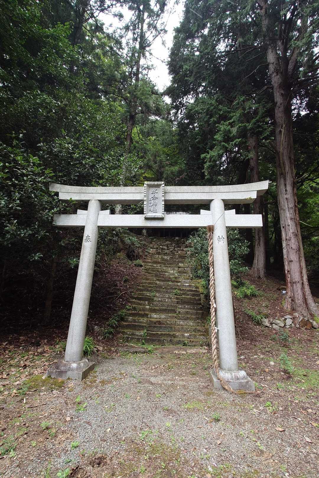 弥仙山登山口-弥仙山 周回コースの写真
