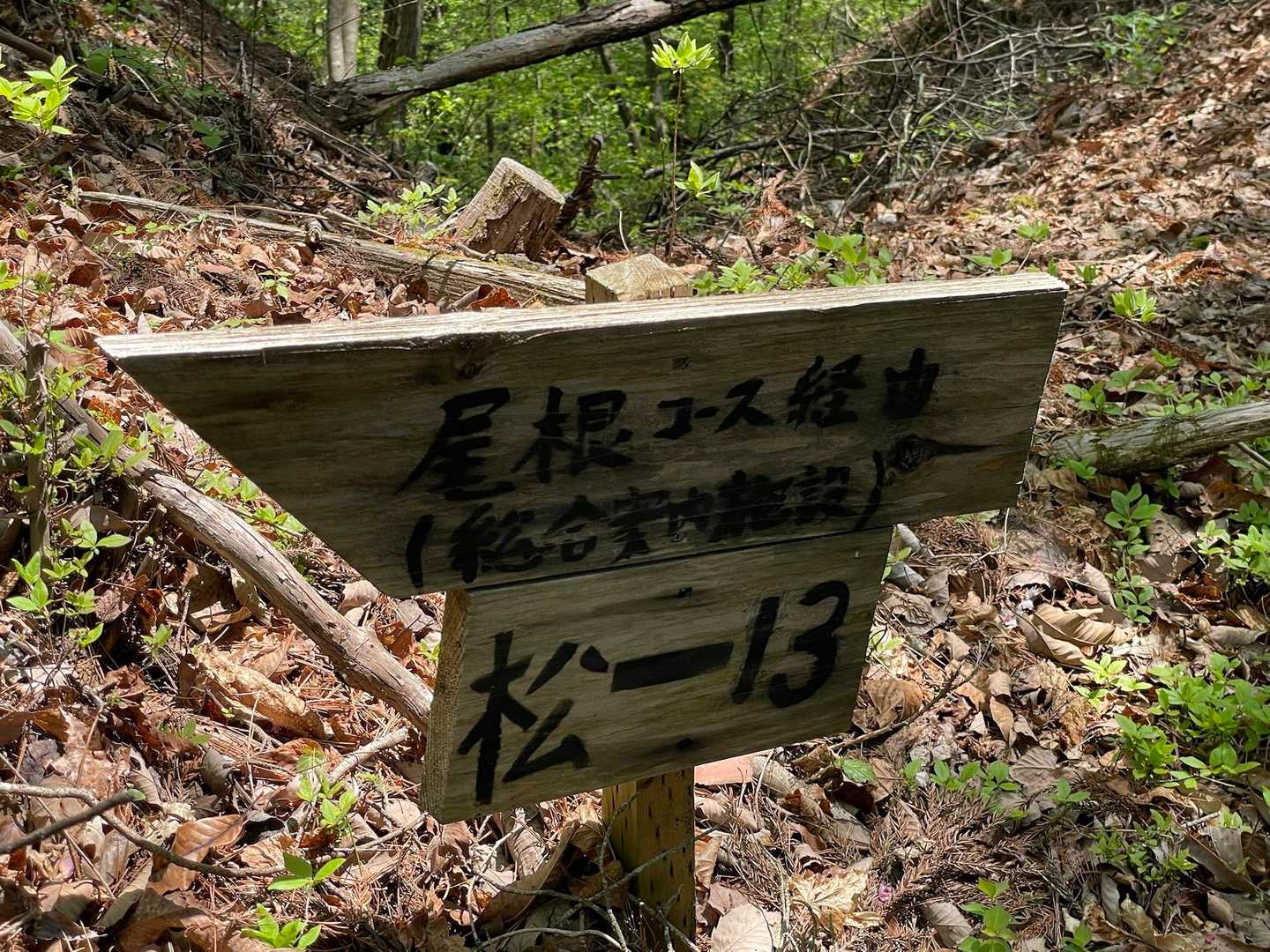 下山は尾根コースへ！！