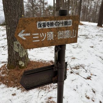 縦走はまた今度