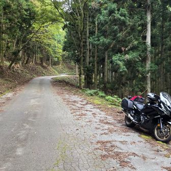 下山完了。
バイクを停めた所も、２～３台は車止めれそう。