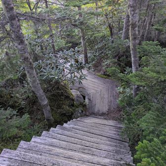 登山道整備に感謝です🙏
（ありがとうございます）①