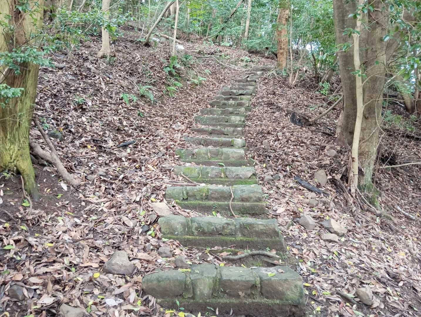 石段のルートを