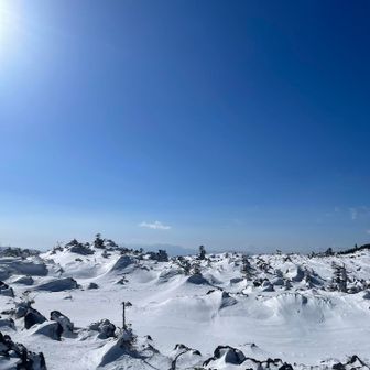 爆風中…写真では伝わらないなぁ💦