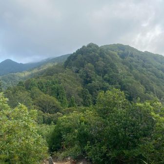 北山から