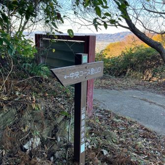 登山道は終わり
