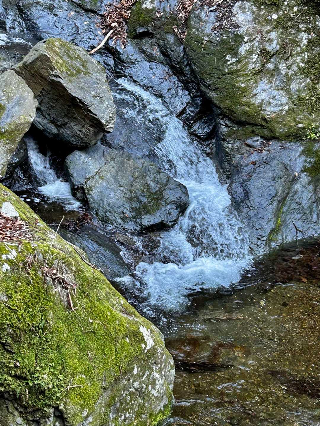 清流沿いスタートで
気持ちが上がります