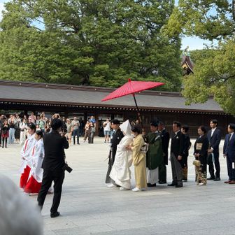 ㊗️参進の儀に 遭遇👰🤵♡

以前、出雲大社へ行った時も、昨年の鎌倉も 

わりと遭遇率 高いな😊