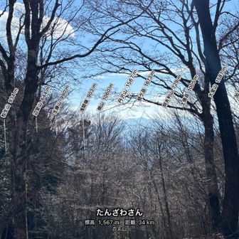 ちょっとだけ丹沢も見える