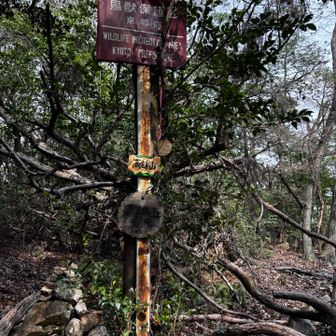 眺望なし。なので、一度来たらもうええかなというピーク笑