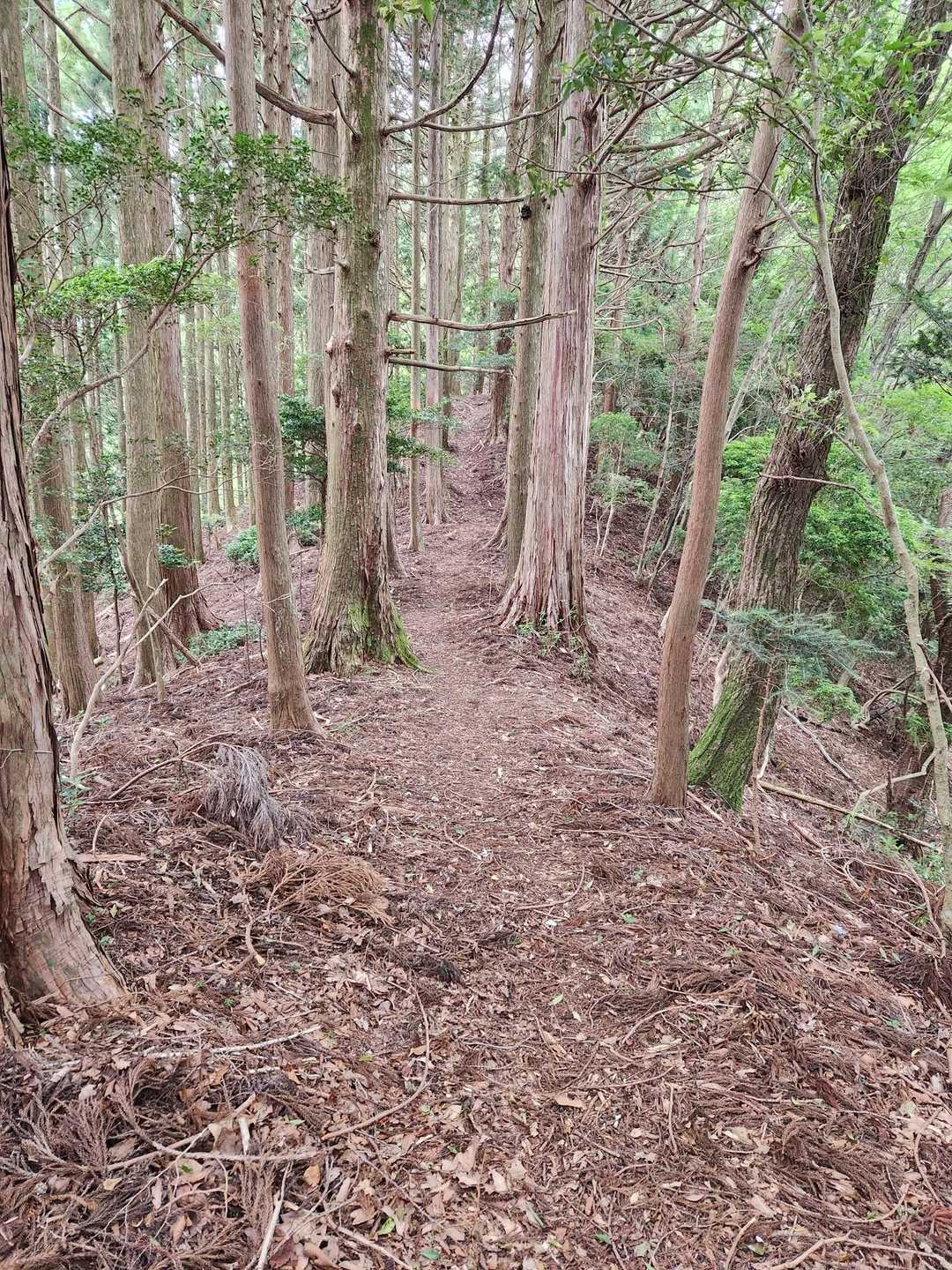 こんな道もあります