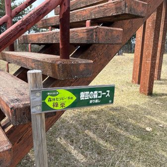 次回はここでピクニックしたい