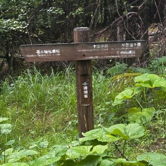 千曲川源流の文字