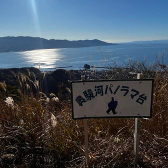駿河湾が最高に綺麗