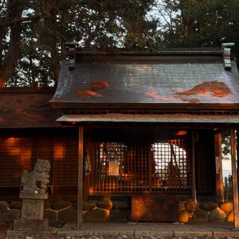 残りの時間は有限だけれど、穏やかで少しでも豊かな気持ちで過ごせる日々が続きますように。