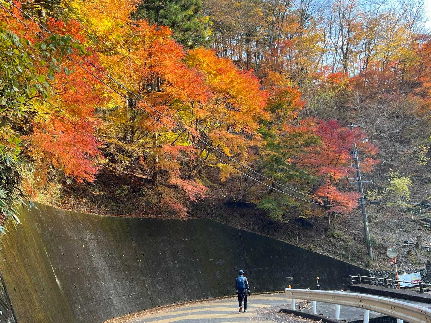 まだまだ見頃だから人もいっぱい来るのね🍁