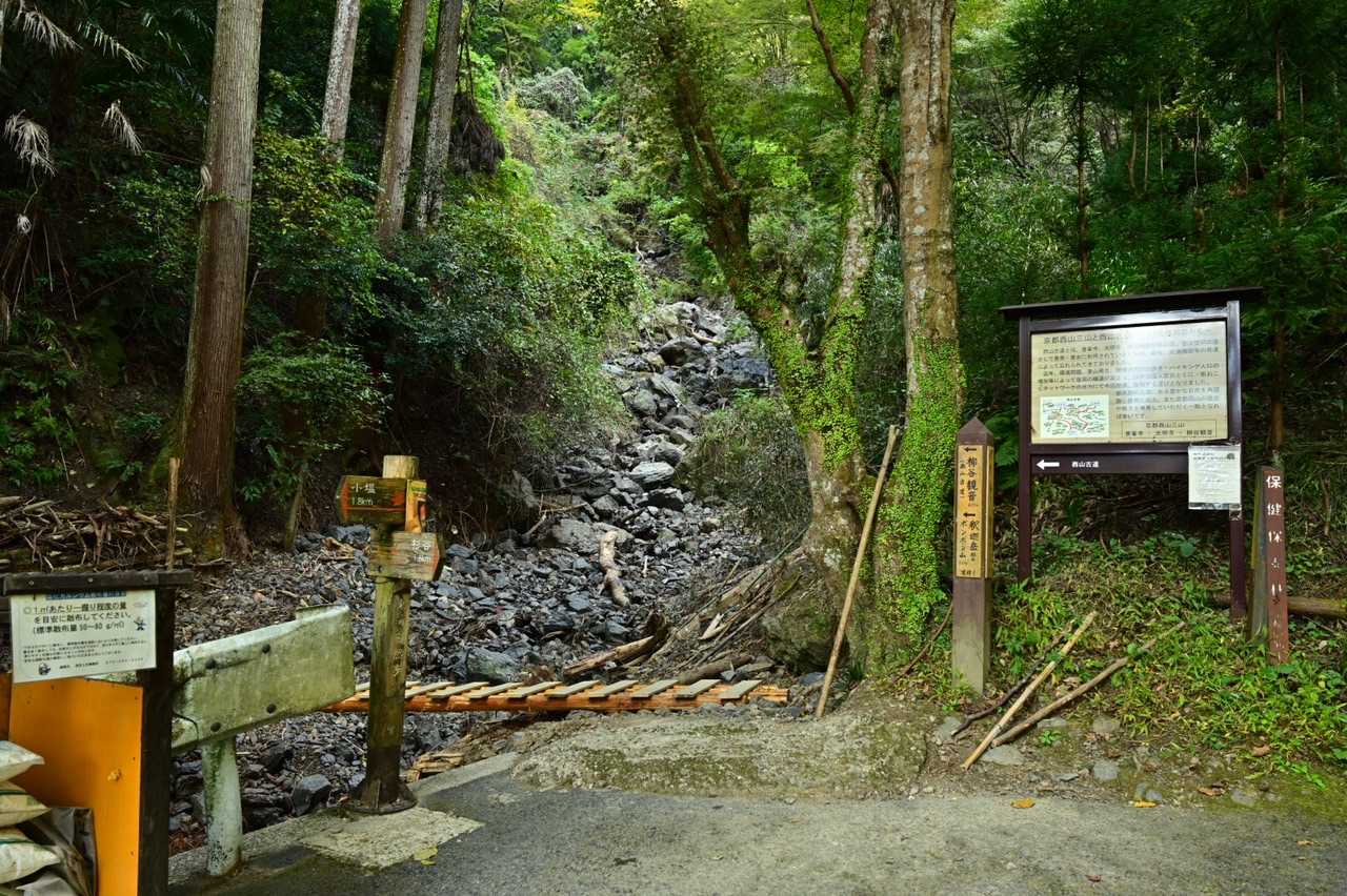 いざ登山開始⛰🥾