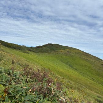 やっと山頂が近づいてきた