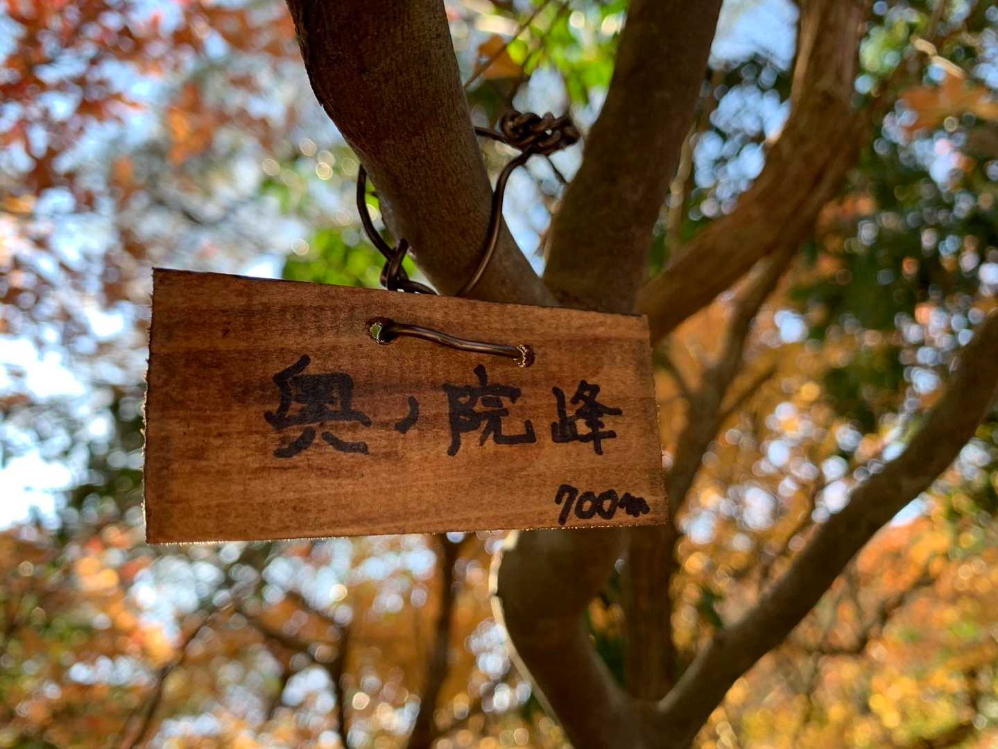 こちらにも😊
同じ所に２つ有るのは初めて見ました😆🎵