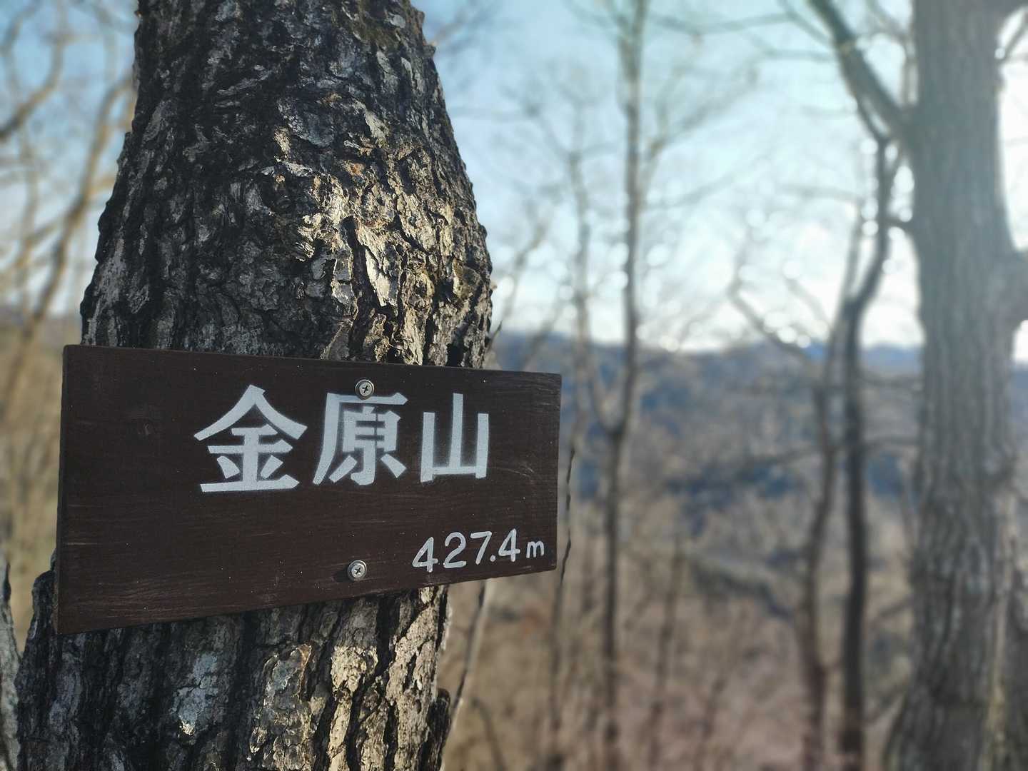 10分足らずで山頂！