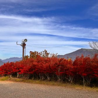 真っ赤🍁の向こうに瓶ヶ森

この日は利音さんとも弥山でニアミス
…実は激遅の木道階段で抜かれてました🤣
気づかなかったのが残念💦
