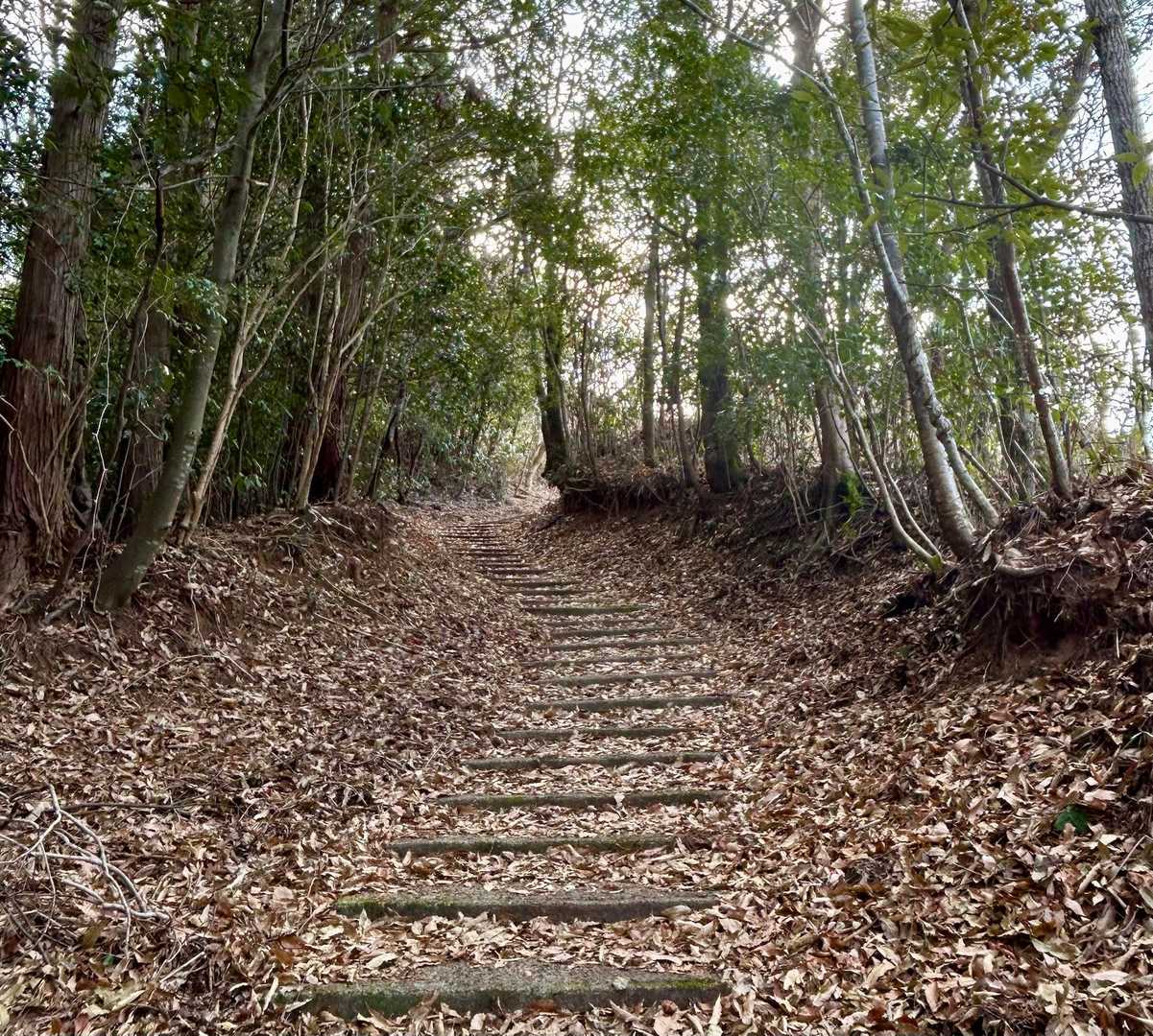 最後の登りかな(•̥̑.̮•̥̑)