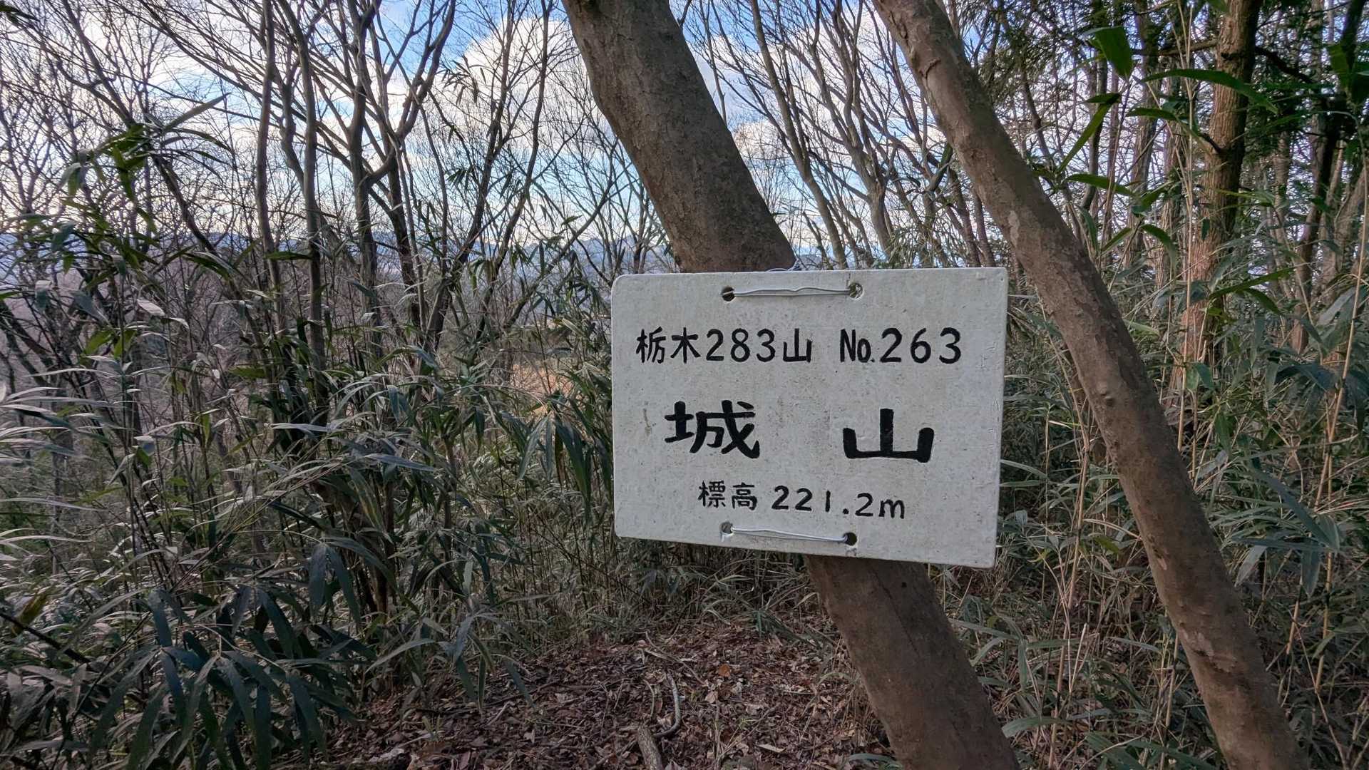 城山頂上