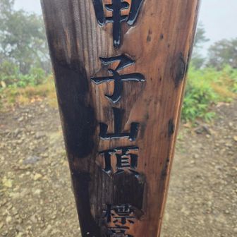 山頂はガスの中。残念。動いていないと寒い。