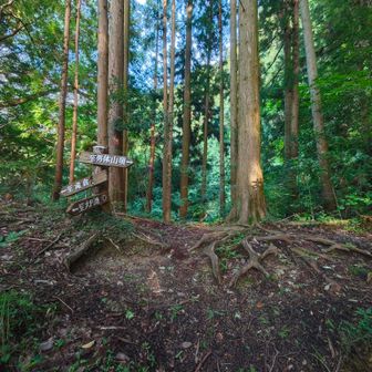 この山は色々なルートがあります。