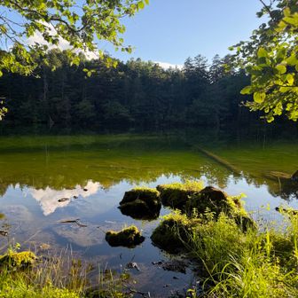 復路で次郎湖を訪問②
湖底に残る倒木が神秘性を増す