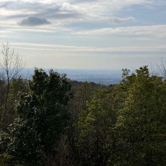 霞んでる伊勢湾方面☁️