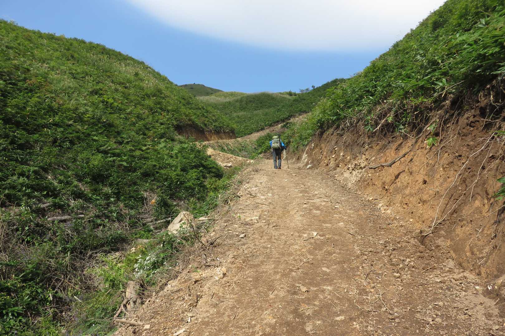 左手の新しく切り拓かれた道を辿り駐車場に戻ります
以前は右手に急な上り坂で階段がある登山道だったそうです