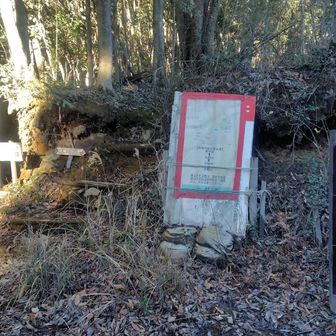 幅広の未舗装林道を40分くらい歩いて、ようやく大幡山登山口へ辿り着く。谷をいくつも跨ぐように曲がりくねった道がつけてあるので、思った以上に時間がかかった。
ここからは赤枠看板横の階段を上がりシングルトラックの山道を行く。