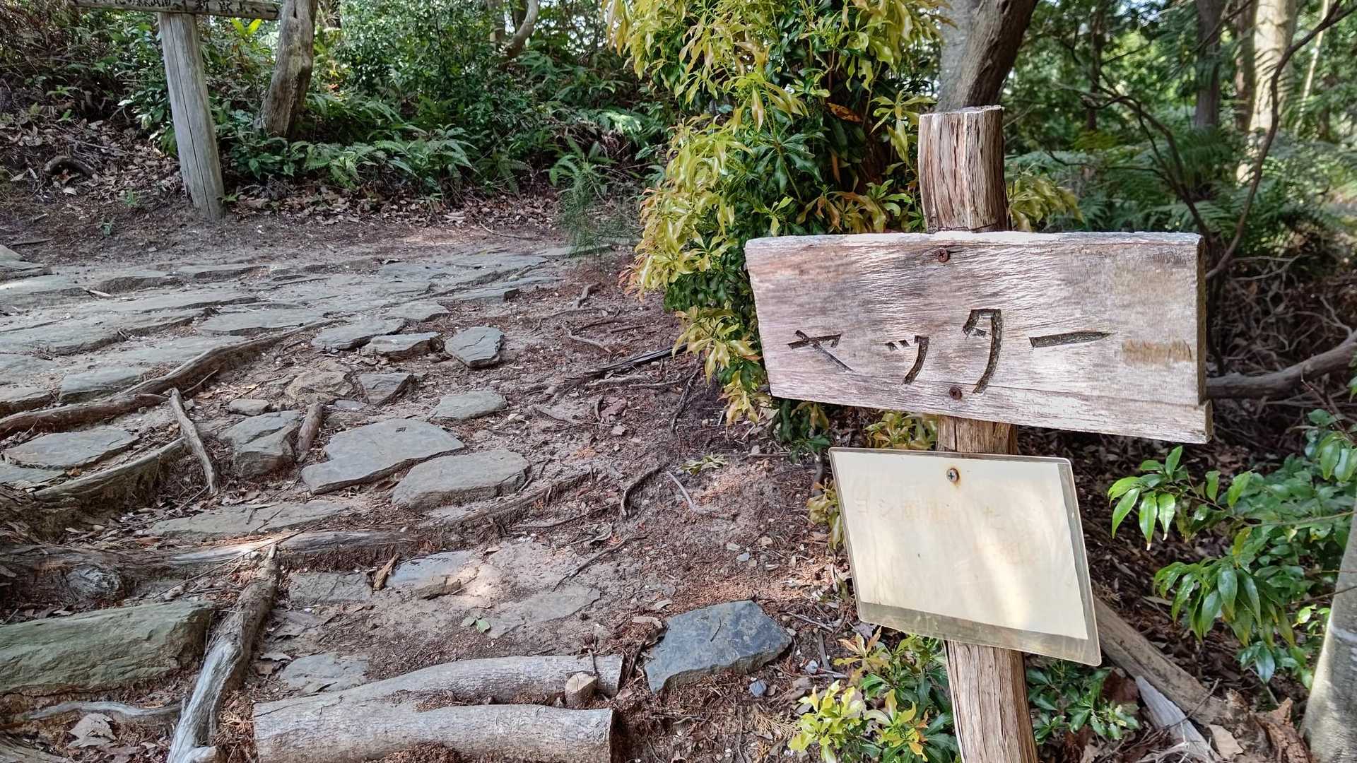ダイエットコース終了
ヤッター🙌