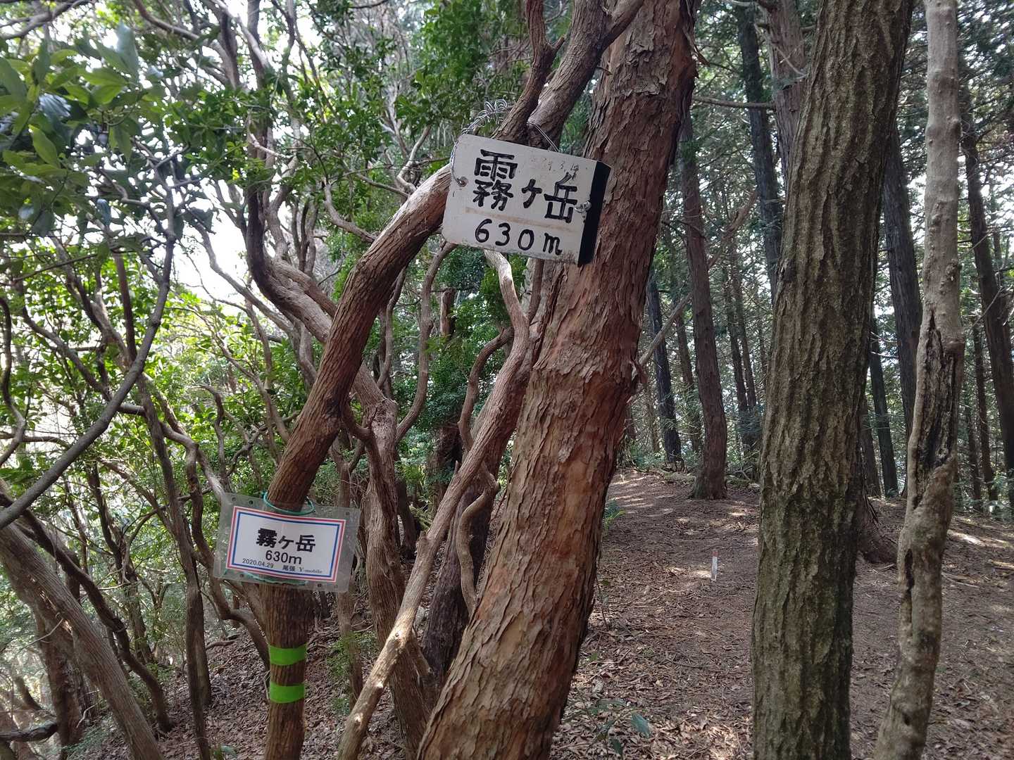 続いて霧ヶ岳に到着✌
ここからは未踏ゾーンです