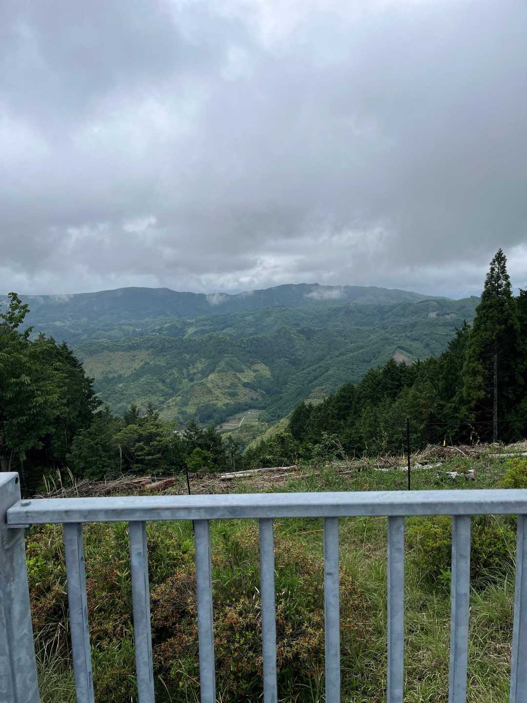 月出山岳（二番坊主）・月出山岳（一番坊主）・月出山岳（三番坊主） / ゆっこさんの月出山岳の活動データ | YAMAP / ヤマップ