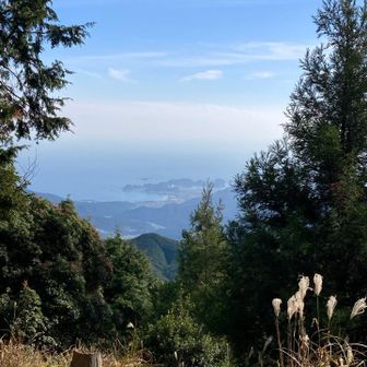 ここで海が見える（と立札に書いてあったので登ってきたが熊野大社の方は木で何も見えず）