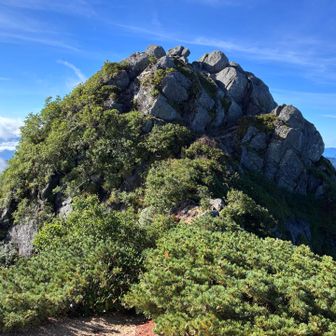 仙涯嶺の山頂は、南駒ヶ岳から向かうと、岩の後ろから回り込んで登る