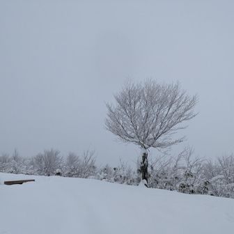 天気予報は、12時から☀マーク