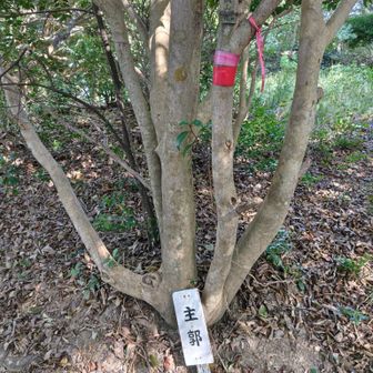 下から上まで蜘蛛の巣地獄＋池周辺藪蚊だらけ〜笑笑