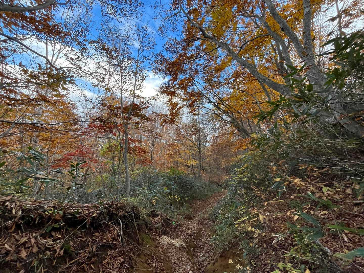 003_賽河原-駱駝山 往復コースの写真