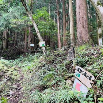 粟鹿山登山道はここから！
11時の下山を目指してトレイルイン💪