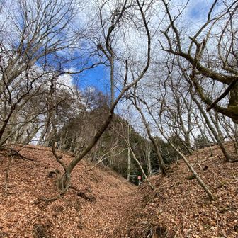 時期が遅すぎ、ヤマナシありません