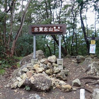 【コガッシー】山頂到着です✨
根っこ道の迂回路発見が嬉しい😆
