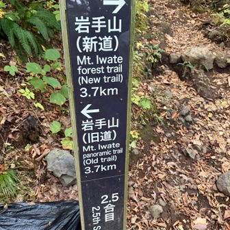 下山路にて