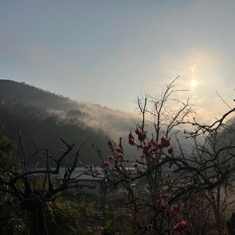 見た瞬間、朝靄分けて光射すとき〜っていう合唱曲流れてきた